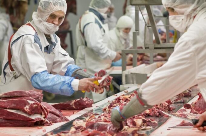 Los trabajadores de los mataderos están acostumbrados a llevar mascarilla y equipos de protección, el nuevo virus no se ha detectado en la carne.