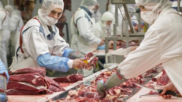 Los trabajadores de los mataderos están acostumbrados a llevar mascarilla y equipos de protección, el nuevo virus no se ha detectado en la carne.