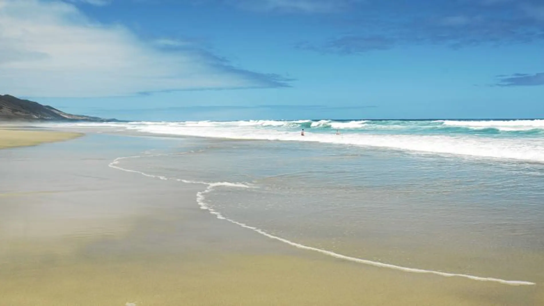 La playa de Cofete es una de las más emblemáticas de la isla y un buen ejemplo de su litoral: infinitos arenales acariciados por el viento / Foto: Carlos R. Zapata