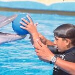 Terapia con delfines paraniños con autismo