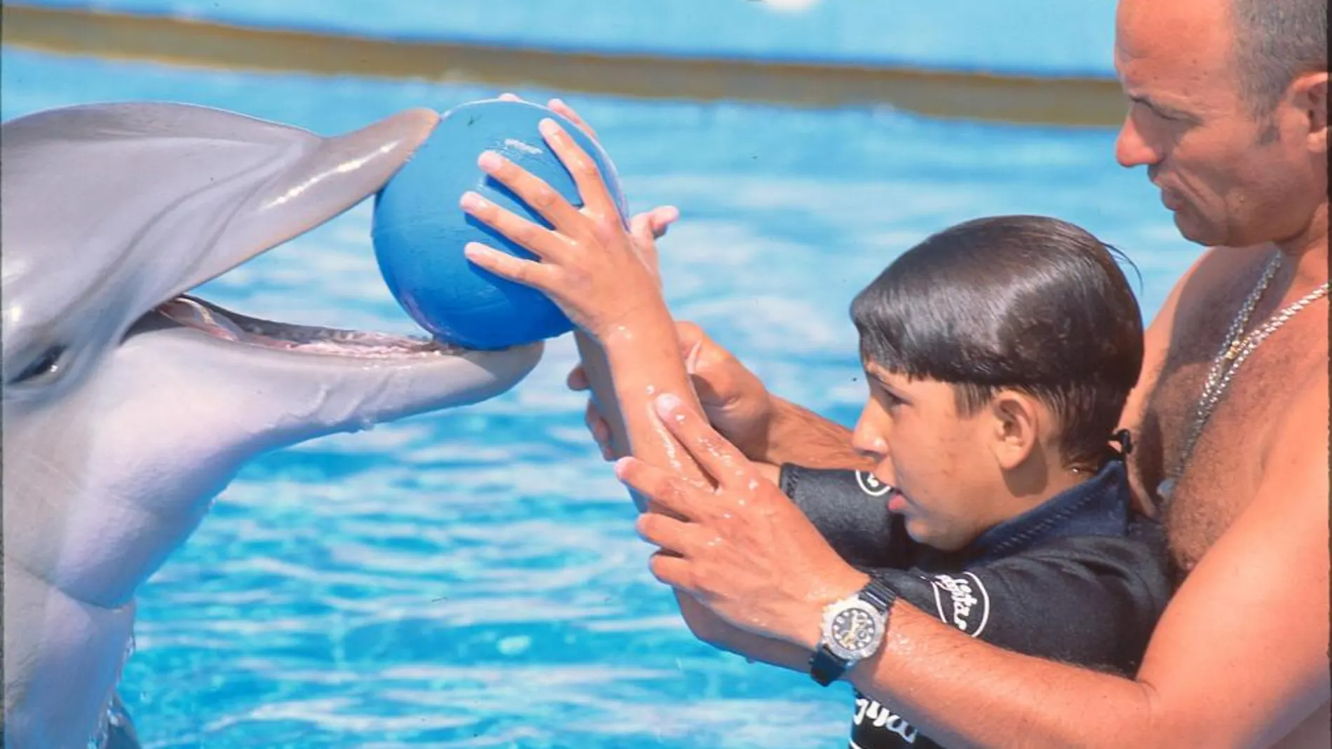 Terapia con delfines paraniños con autismo