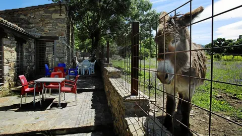 Madarcos, con 47 habitantes, es uno de los municipios con menos habitantes, junto con Robregordo