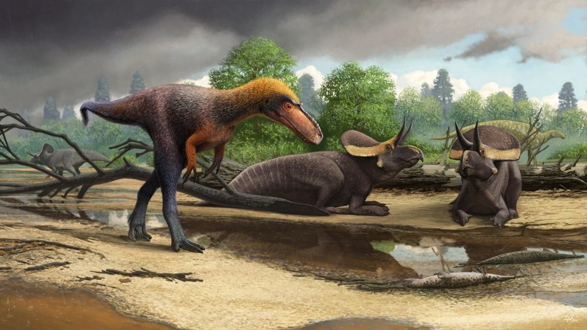 Recreación del nuevo pariente del «Tyrannosaurus rex» recién hallado