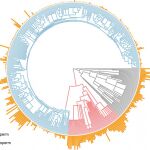 La distribución del genoma entre 393 plantas terrestres