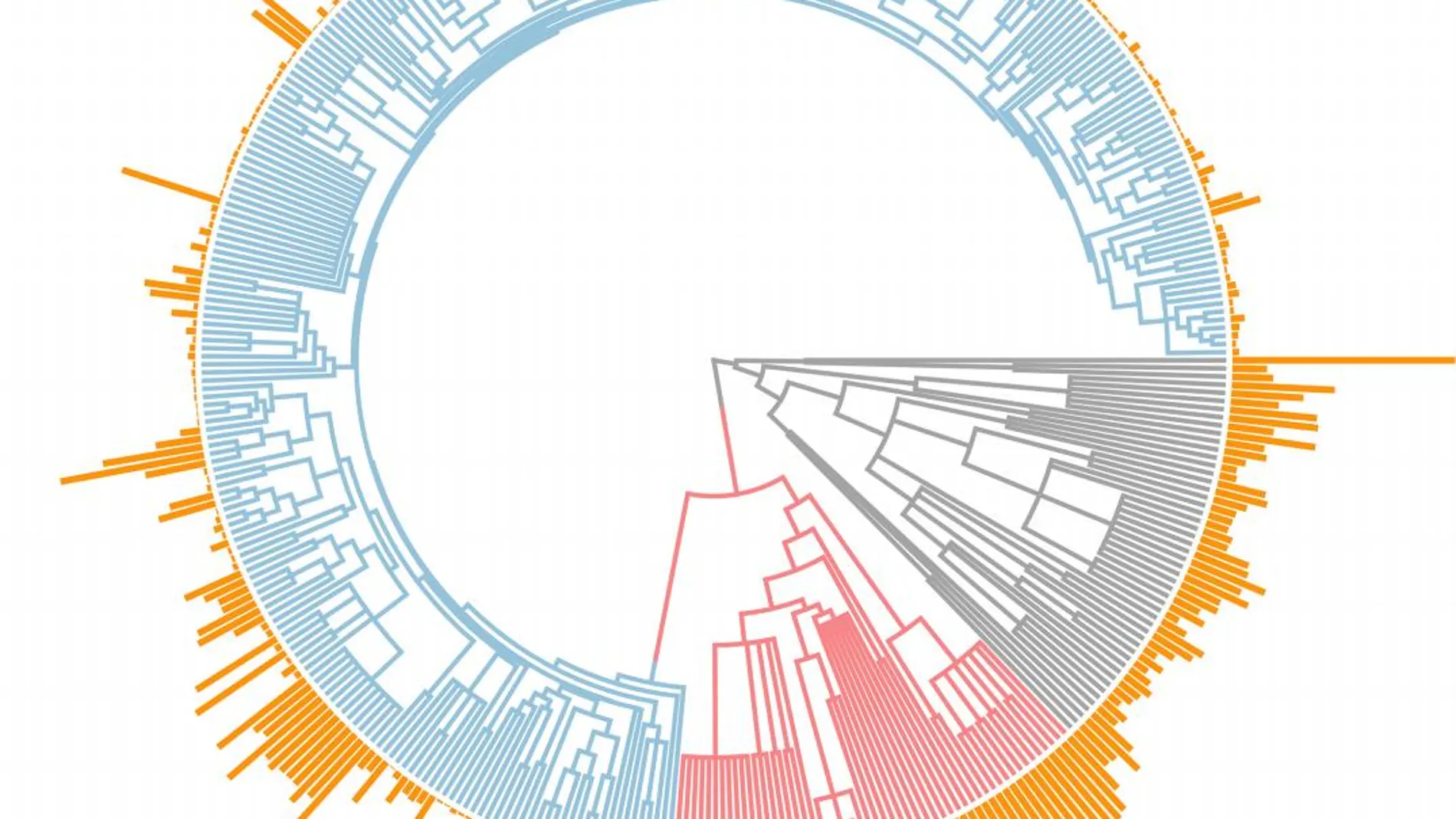 La distribución del genoma entre 393 plantas terrestres
