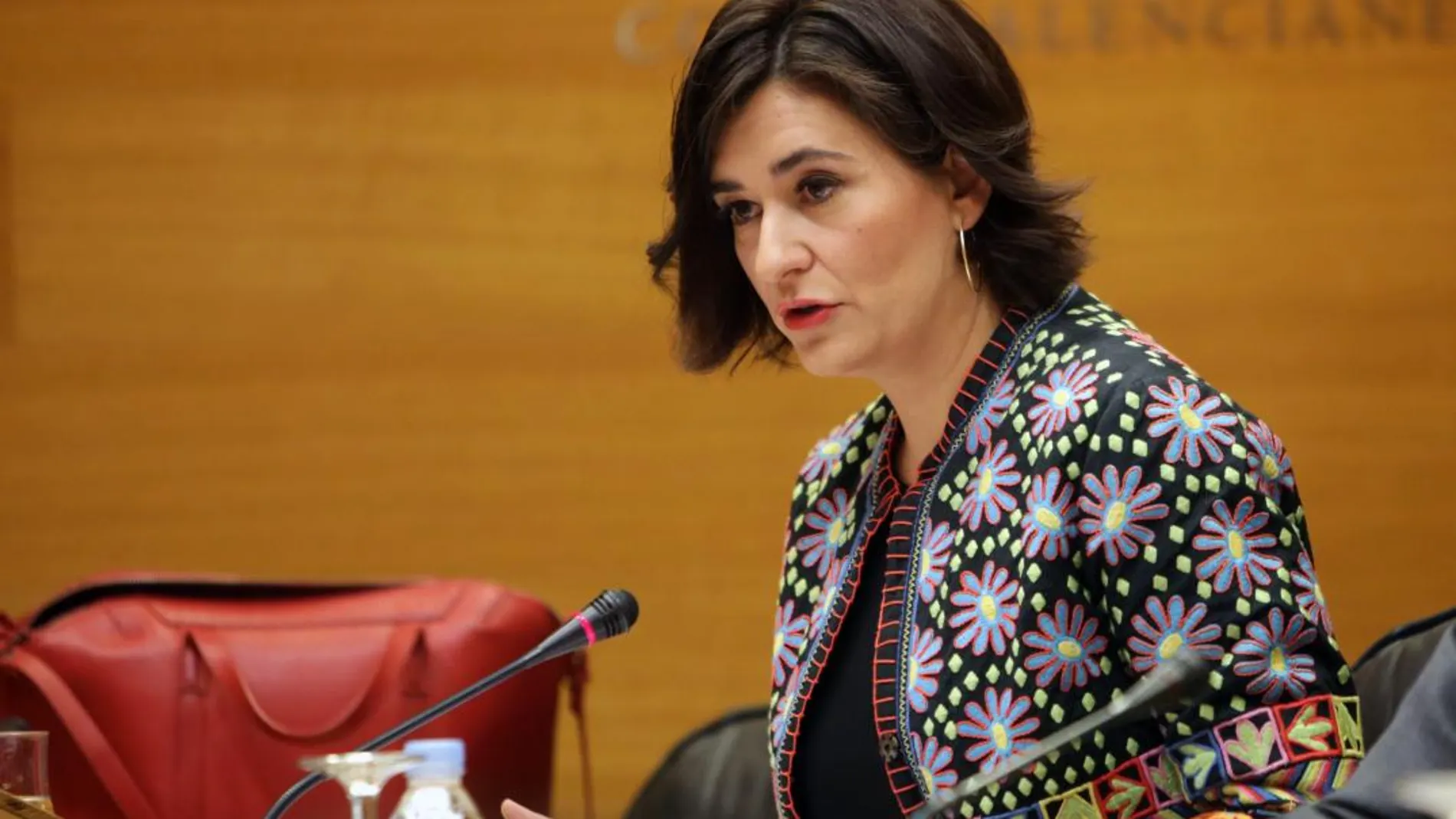 La consellera Carmen Montón, el pasado mes de noviembre, cuando presentó el actual proyecto de presupuestos