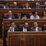 Bancada socialista en el Congreso durante el debate de investidura de Mariano Rajoy el pasado mes de julio.