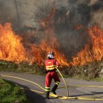 Bomberos del Servicio de Emergencias del Principado de Asturias, empresas forestales y agentes del Medio Rural en labores de extinción de un incendio declarado en Asturias