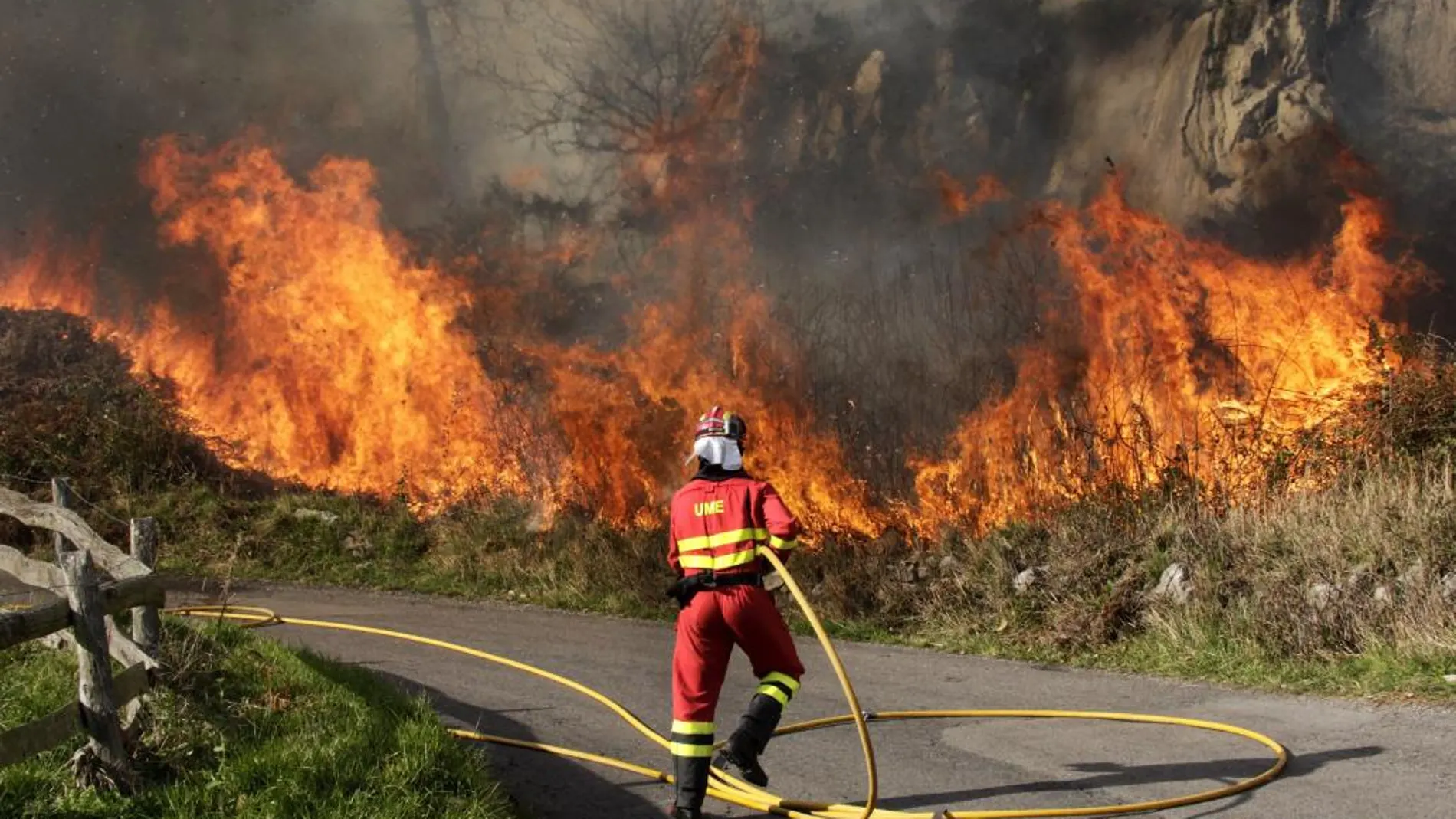 Bomberos del Servicio de Emergencias del Principado de Asturias, empresas forestales y agentes del Medio Rural en labores de extinción de un incendio declarado en Asturias