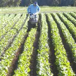  Cerdá pide la unión del sector agrícola para ser más competitivo en el mercado