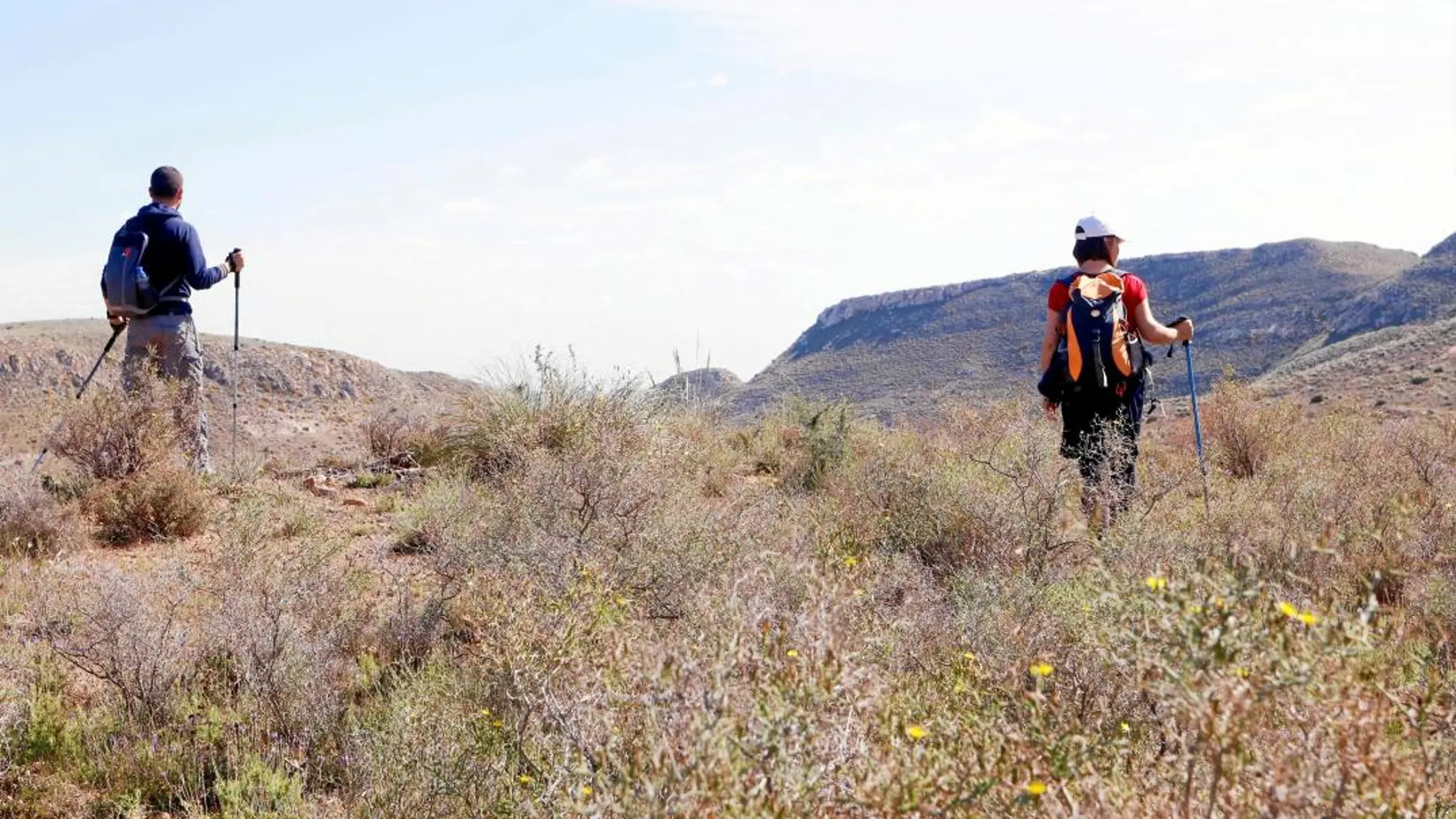 Alrededor de 370 personas, entre voluntarios y efectivos, continúan con la búsqueda del menor en Níjar (Almería)