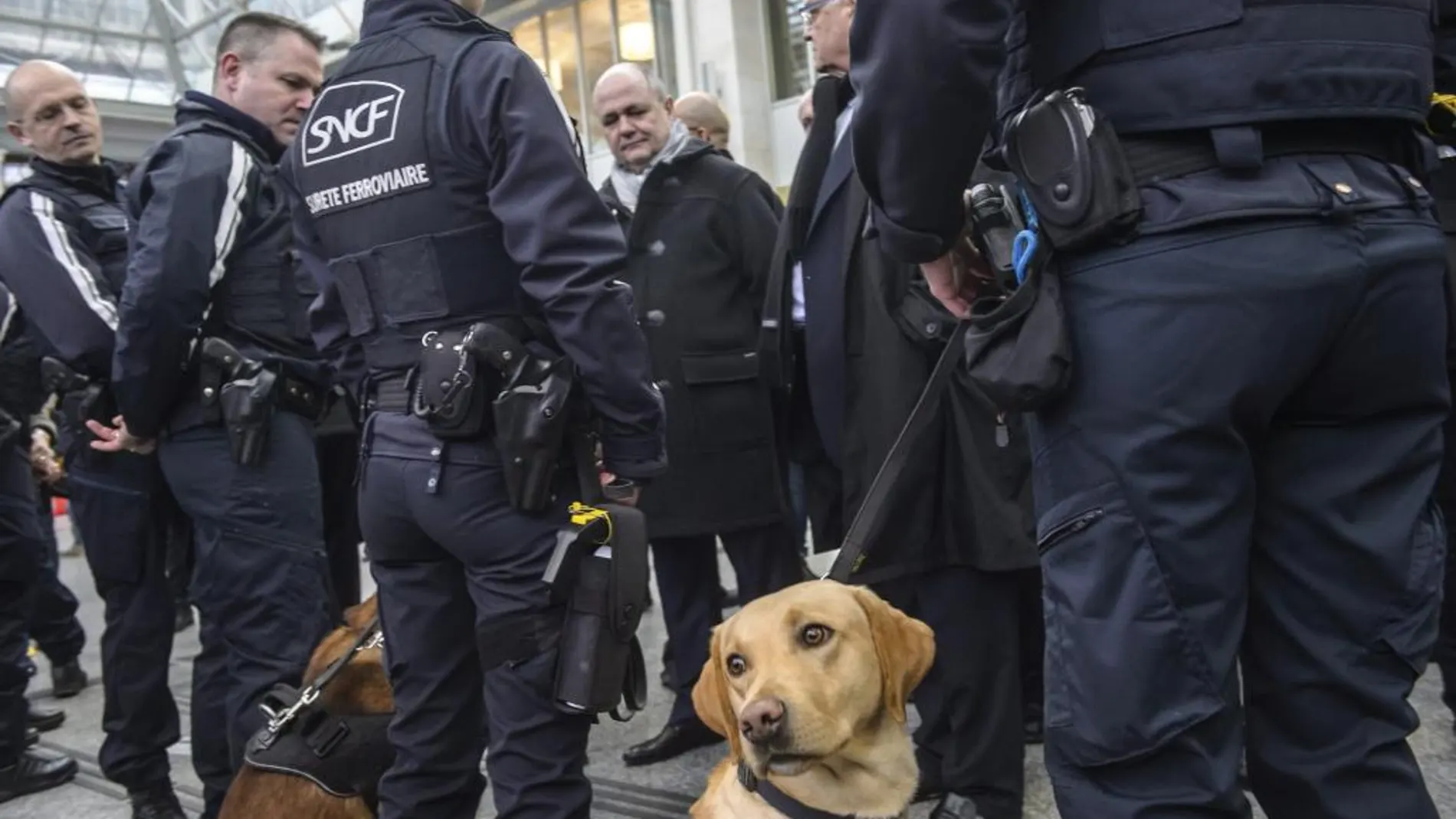 Un grupo de policías con apoyo canino en la Gare du Lyon de París