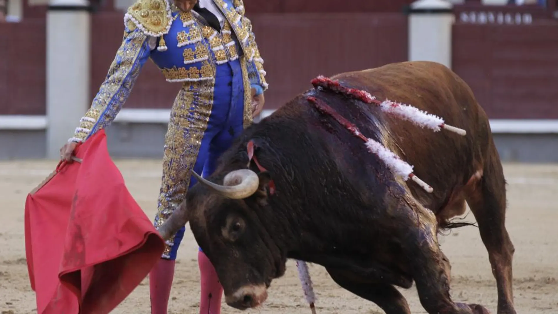 Relajado derechazo de El Cid a "Berbenero"