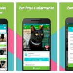 Miwuki, la app para adoptar mascotas y hacer donaciones a protectoras