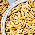  La importación de cereales se disparará un 40% por la sequía