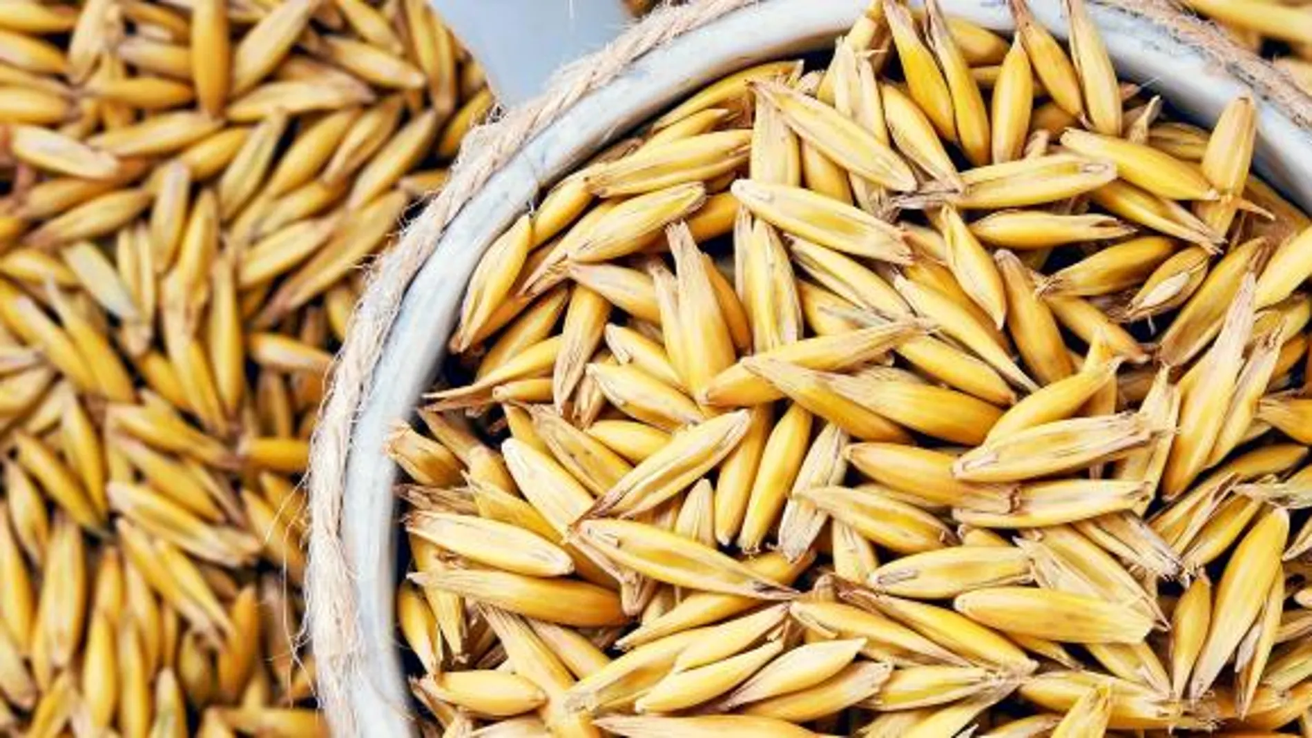 Las altas temperaturas y la sequía han recortado las toneladas de cereales cosechados