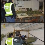 Fotografías facilitadas por la Guardia Civil que ha desmantelado en unas masías de un pequeño pueblo de Teruel, Villarluengo, la mayor plantación de marihuana localizada hasta ahora en Aragóm