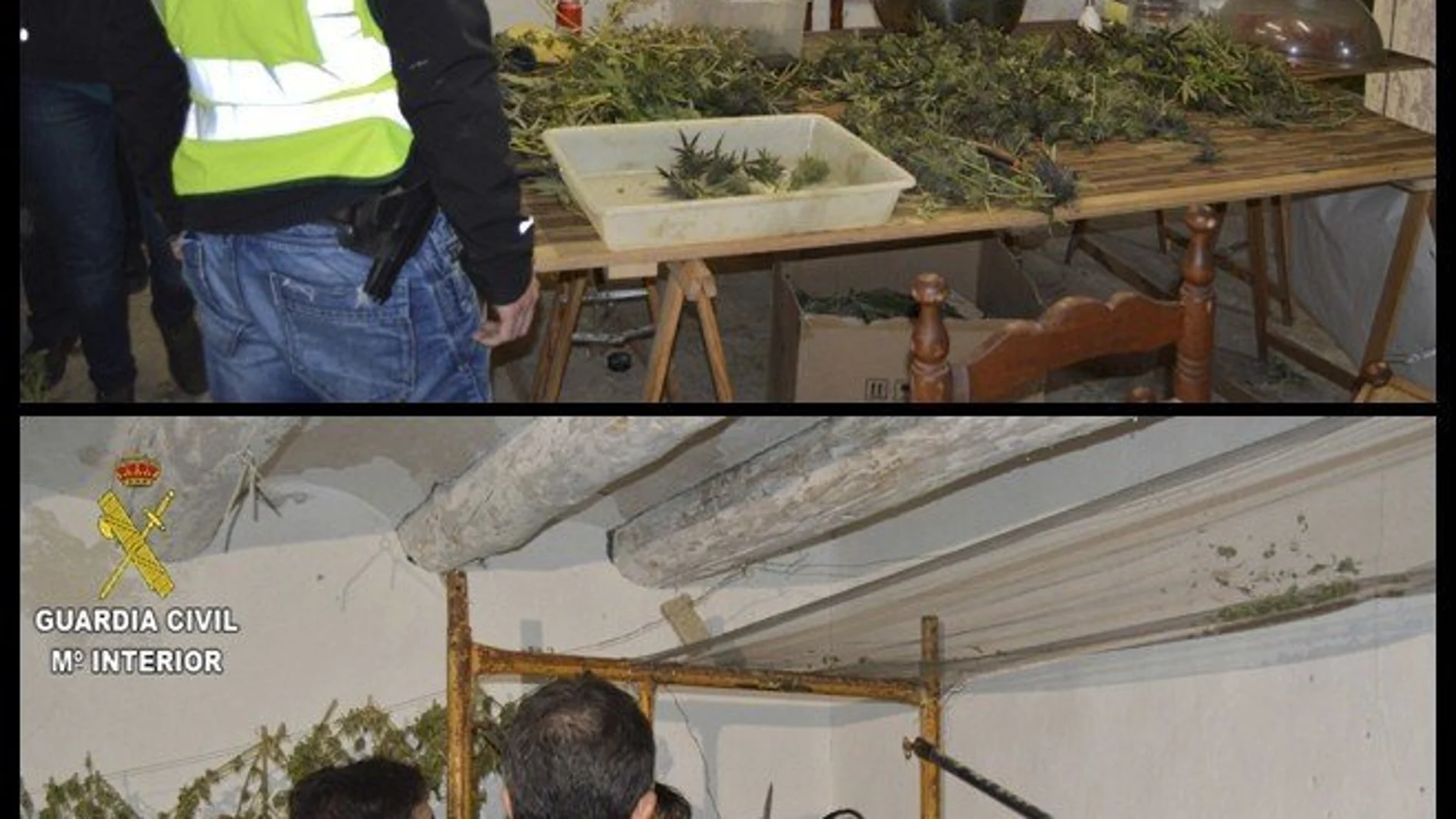 Fotografías facilitadas por la Guardia Civil que ha desmantelado en unas masías de un pequeño pueblo de Teruel, Villarluengo, la mayor plantación de marihuana localizada hasta ahora en Aragóm