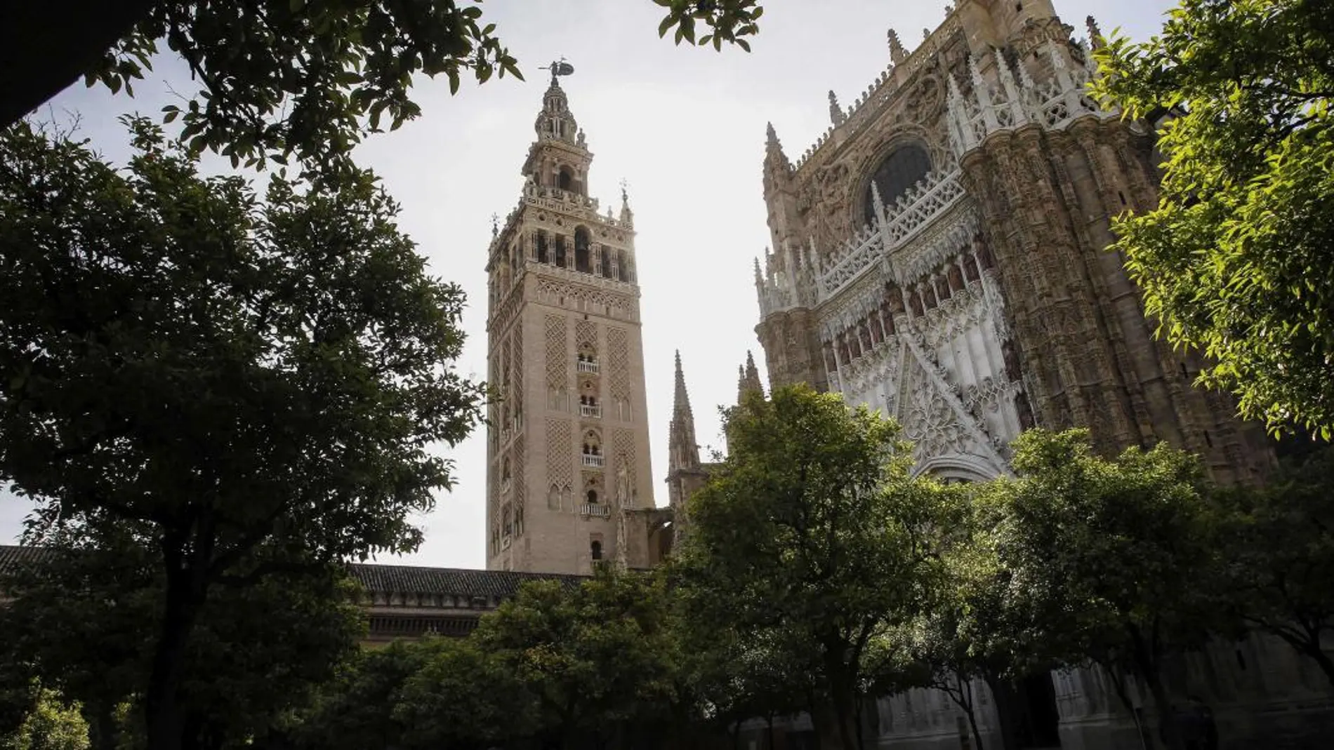 Vista de la Catedral de Sevilla y de la Giralda desde el Patio de los Naranjos / Foto: Manuel Olmedo