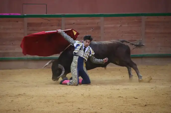 Oreja por coleta en el cierre del zapato de oro