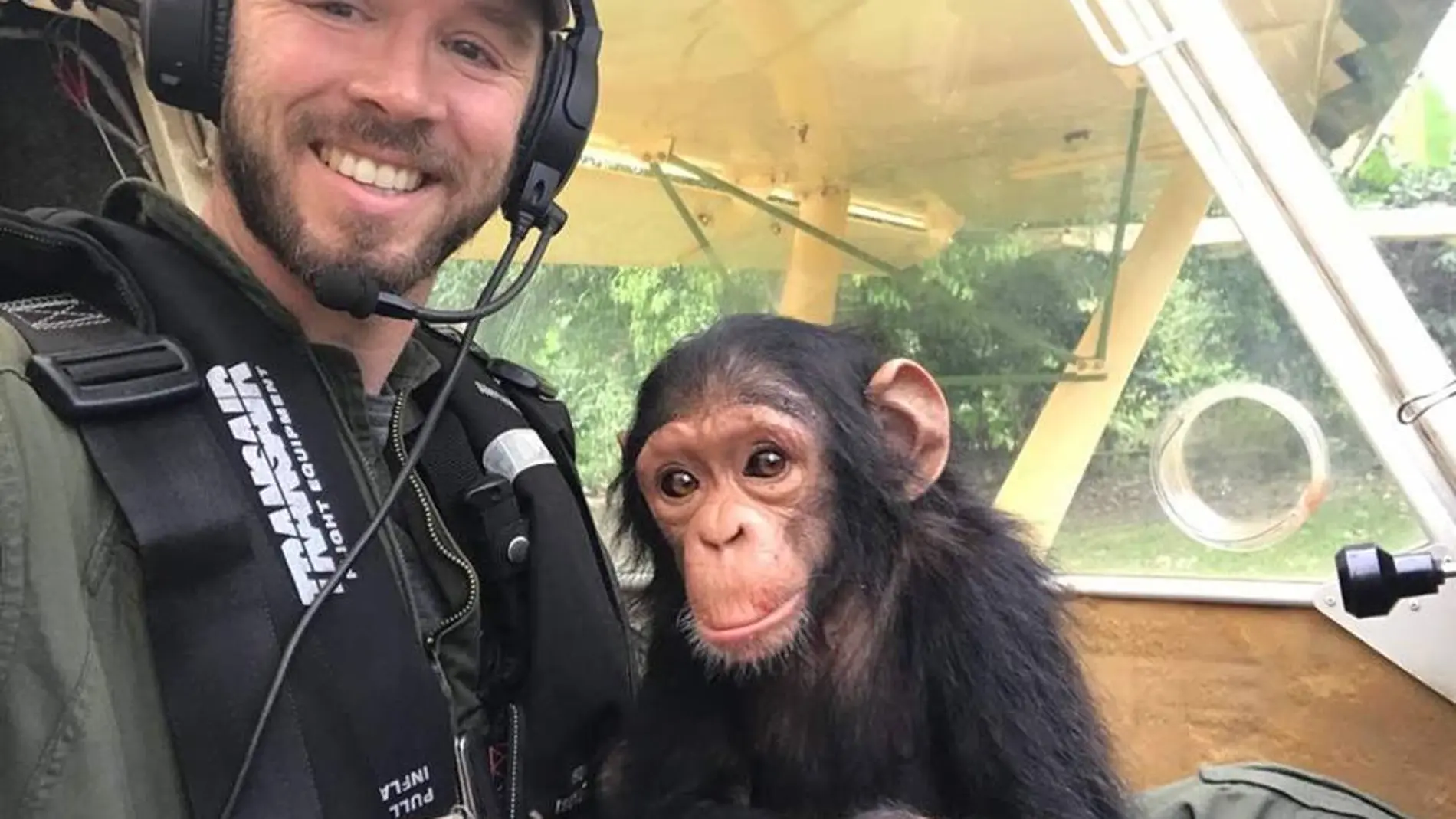 Mussa, el chimpancé rescatado