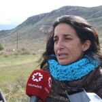 El acosador de la madre se inventó un accidente de tráfico