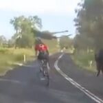 Instante en que el canguro derriba a uno de los ciclistas
