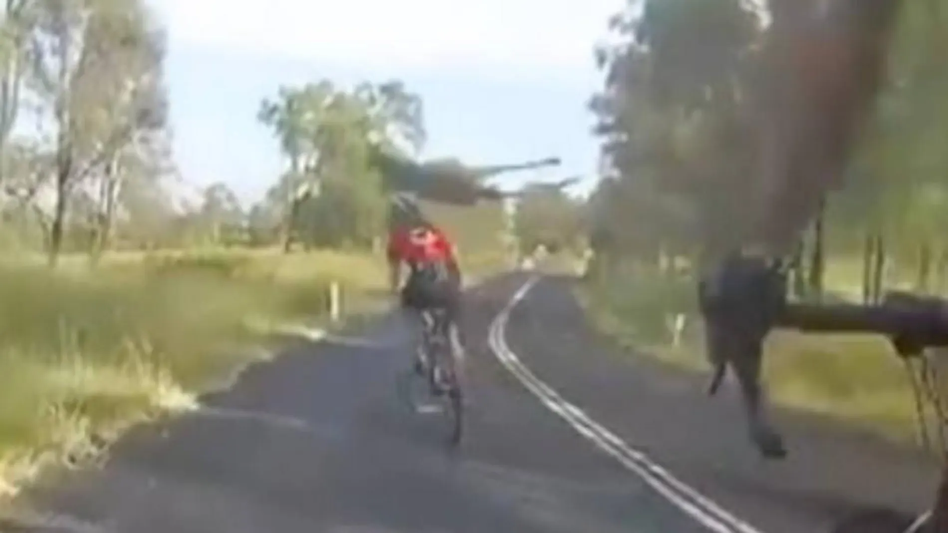 Instante en que el canguro derriba a uno de los ciclistas