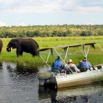 Turistas extranjeros observan elefantes en el río Chobe, en una imagen de archivo