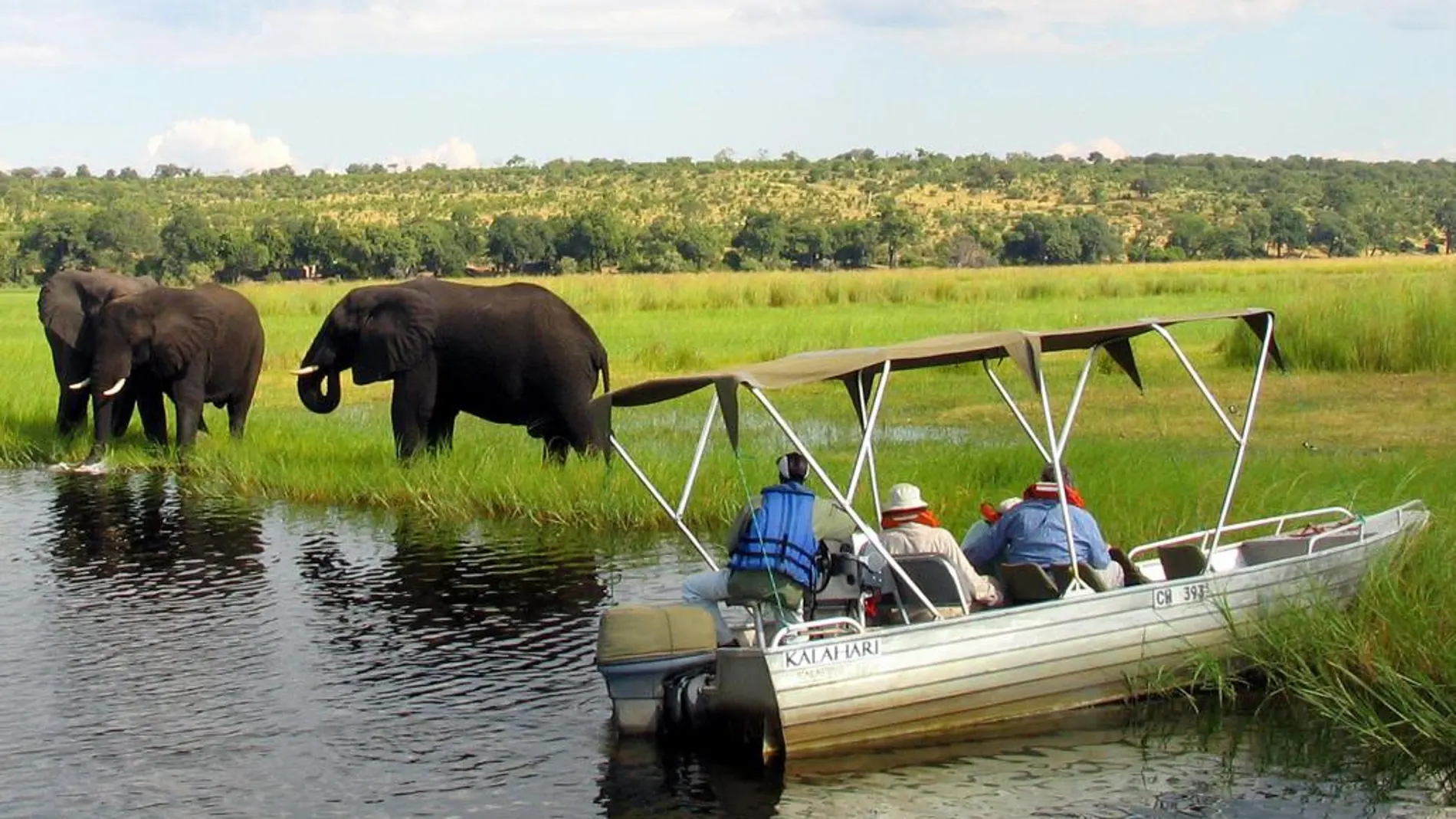 Turistas extranjeros observan elefantes en el río Chobe, en una imagen de archivo