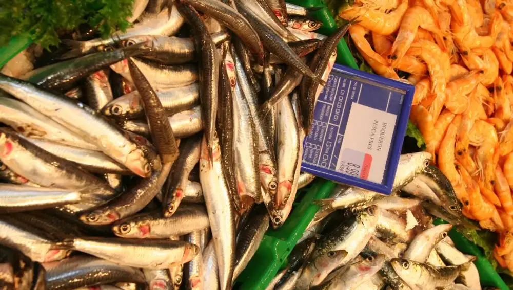 Los pescados más infectados suelen ser los boquerones y las sardinas