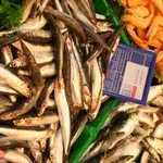Los pescados más infectados suelen ser los boquerones y las sardinas