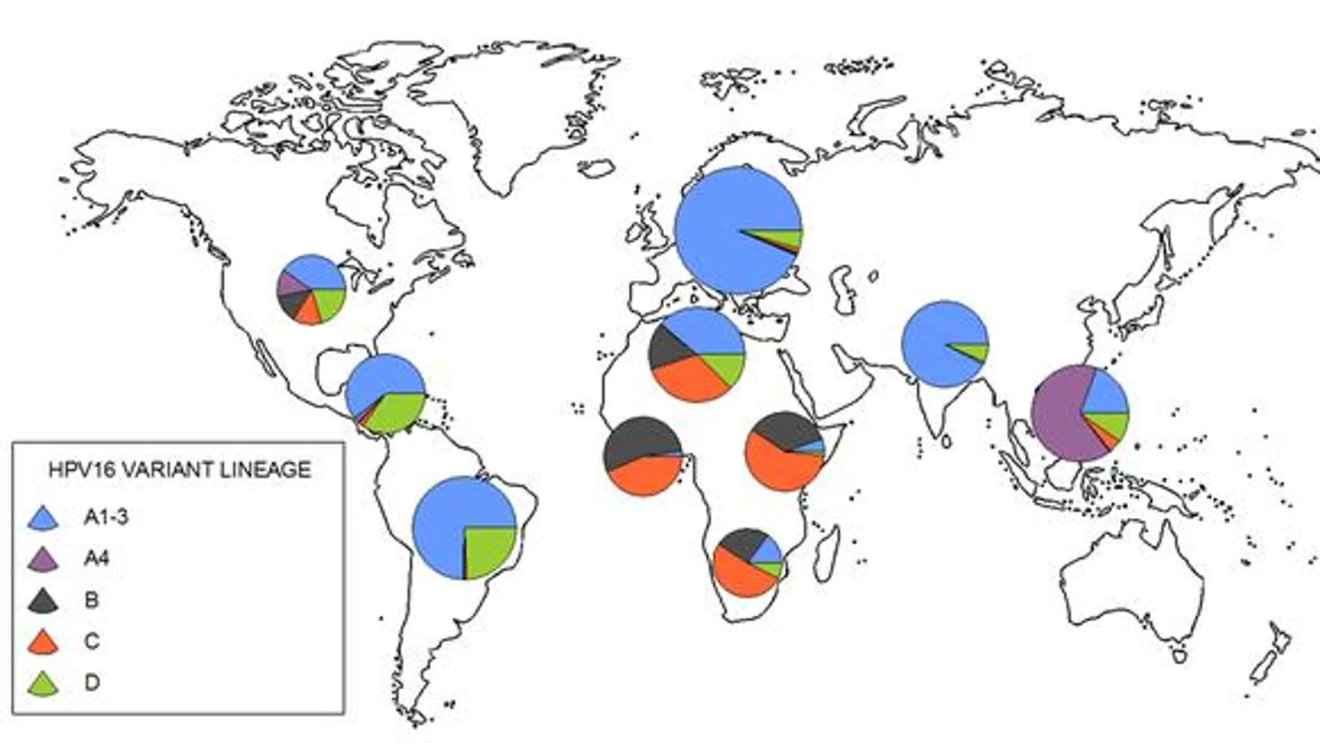 Distribución geográfica de los cuatro tipos de papilomavirus HPV16 estudiados. Imagen: MBE
