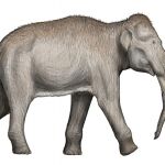 Cuando el "elefante de Orcasitas"dominaba el Manzanares