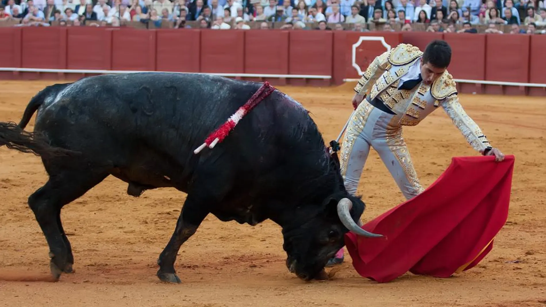 Javier Castaño torea con la izquierda a un toro de Miura en la pasada Feria de Abril