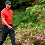 Tiger Woods