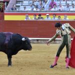 El diestro Miguel Ángel Perera se encara al quinto toro de la tarde de nombre 'Catedrático' que ha sido indultado en la Feria Taurina de San Antolín