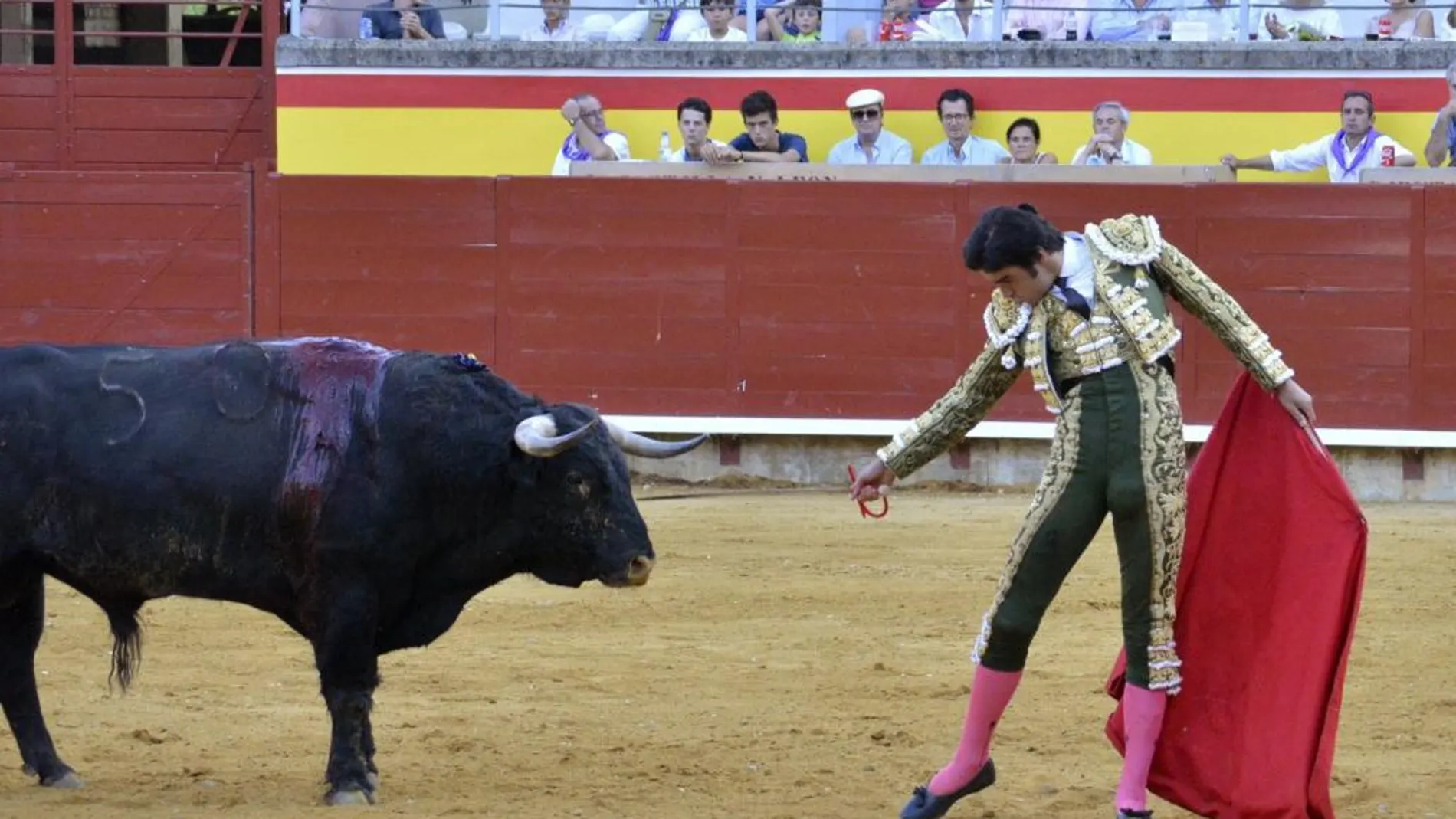 El diestro Miguel Ángel Perera se encara al quinto toro de la tarde de nombre 'Catedrático' que ha sido indultado en la Feria Taurina de San Antolín