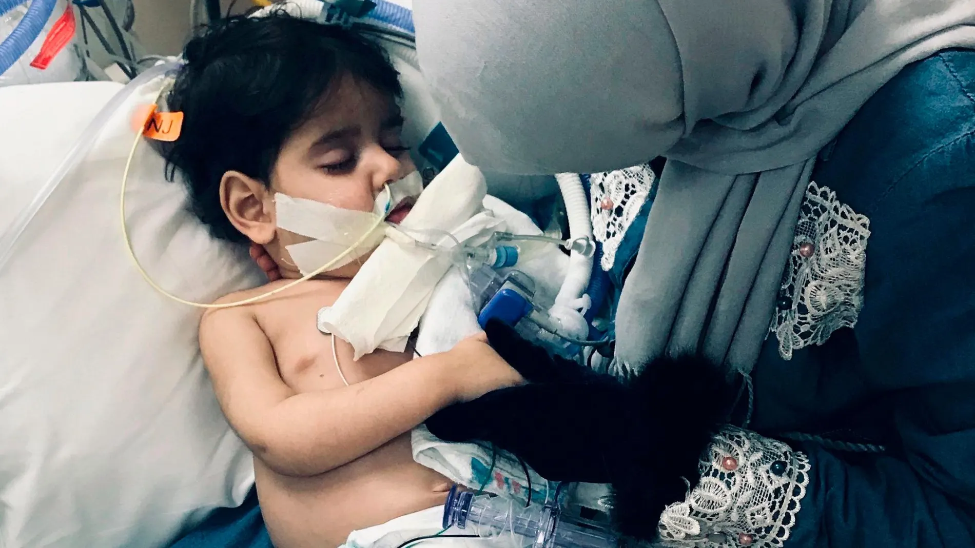 Shaima Swileh pudo despedirse de su hijo de dos años Abdullah Hassan en un hospital de California/Foto: Ap