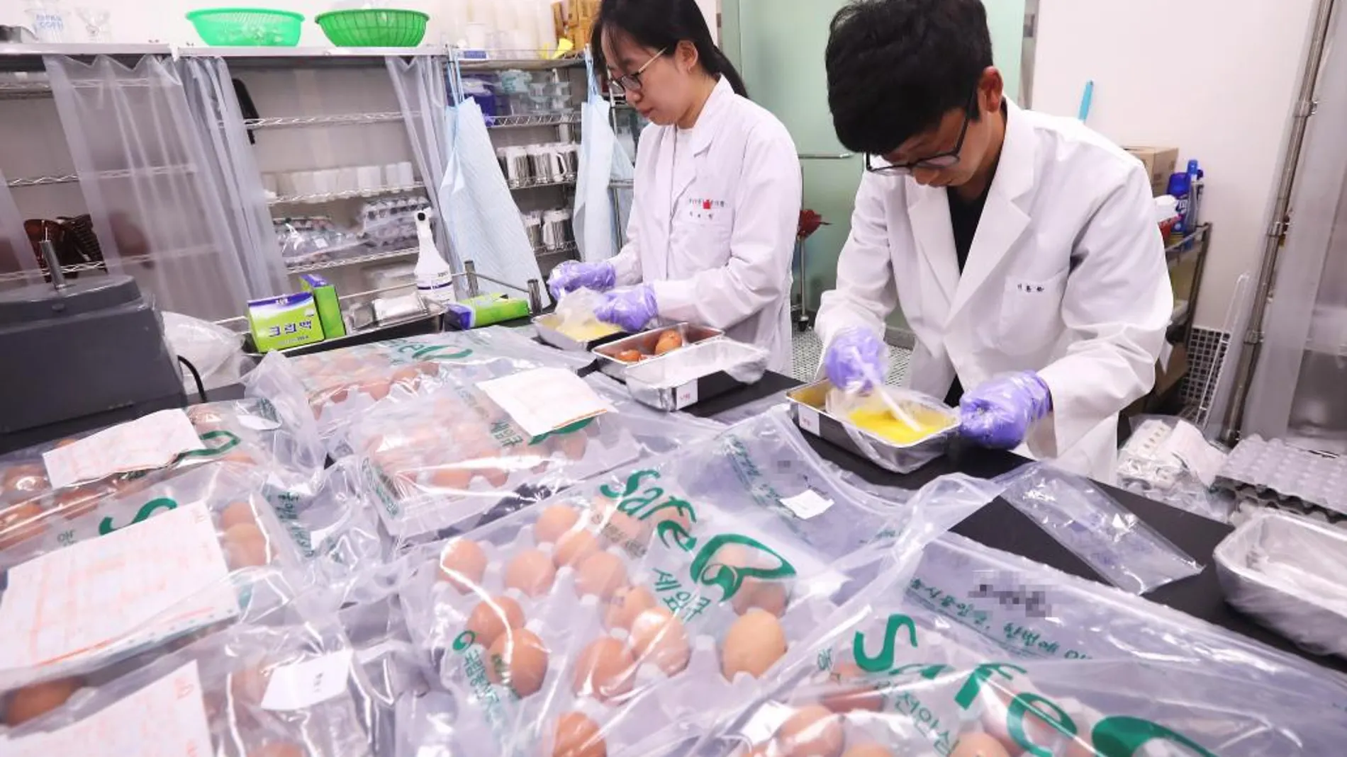 Varios trabajadores inspeccionan huevos para buscar posibles contaminaciones por el pesticida fipronil en una sucursal del Servicio Nacional de Gestión de Calidad de Productos Agrícolas (NAQS) en Corea del Sur