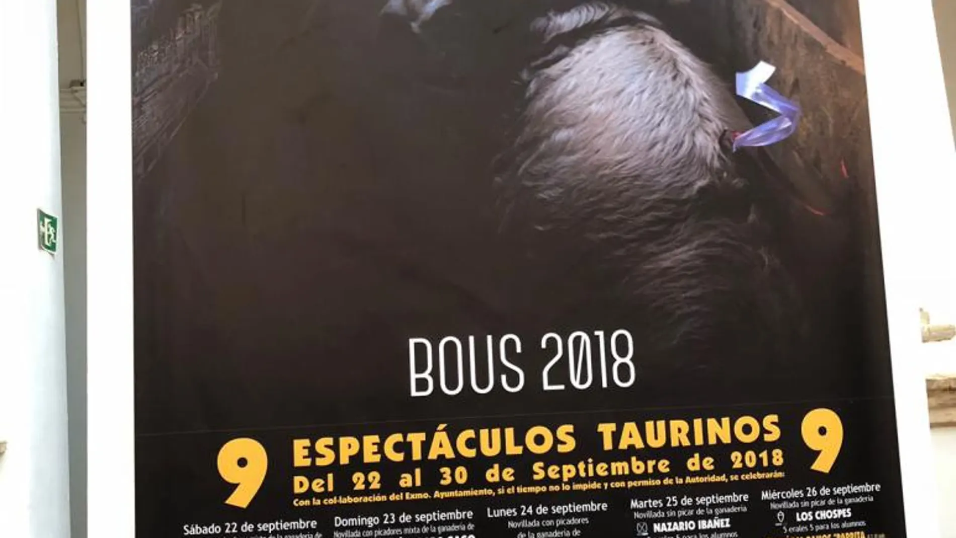 Cartel de la Feria de Algemesí 2018