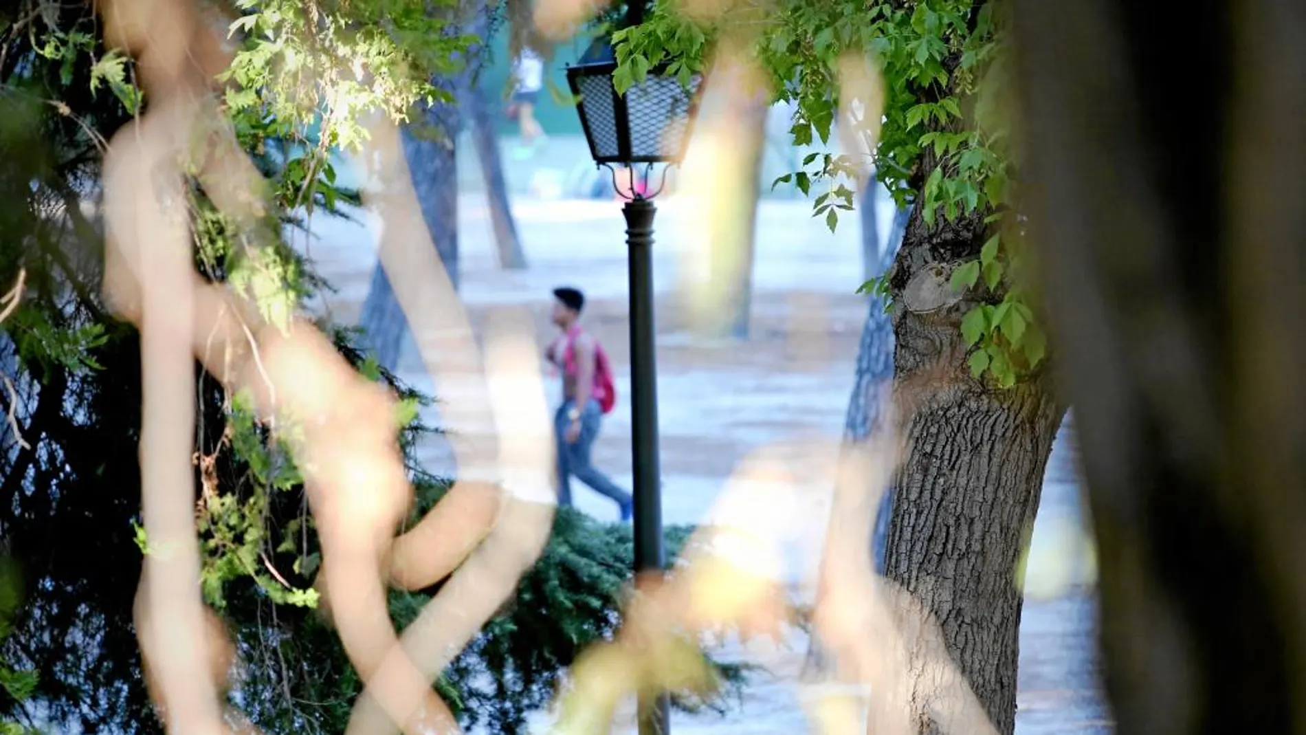 El parque Breogán, en Ventas, fue el escenario de la última agresión homófoba en la capital