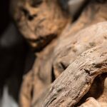 La momia hallada en Lituania que alberga una cepa del virus «Variola»