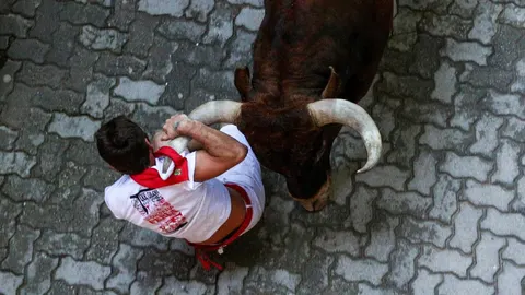 Un toro de la ganadería sevillana de Miura arrastra a un mozo a su paso en el tramo de entrada al callejón de la Plaza/ Efe