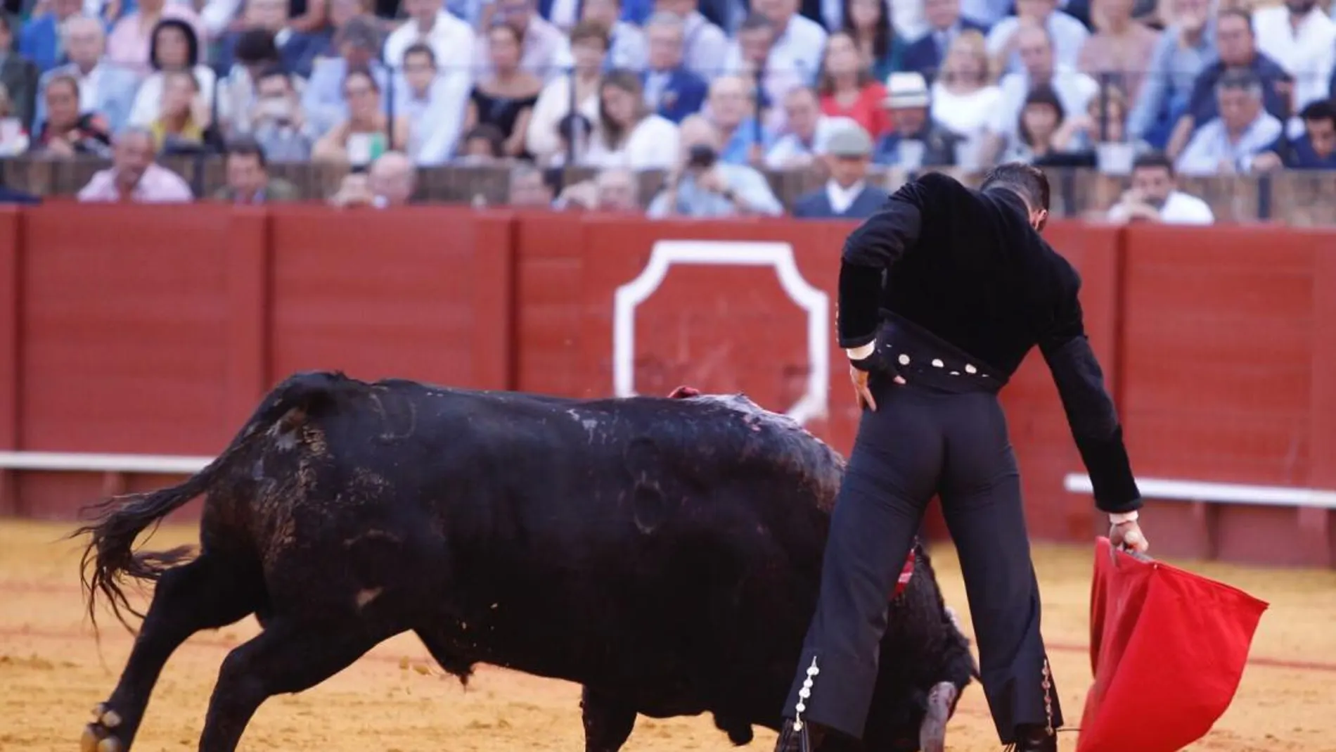 Oreja para José María Manzanares en el cinco de la tarde. (Twitter La Maestranza-Pagés)