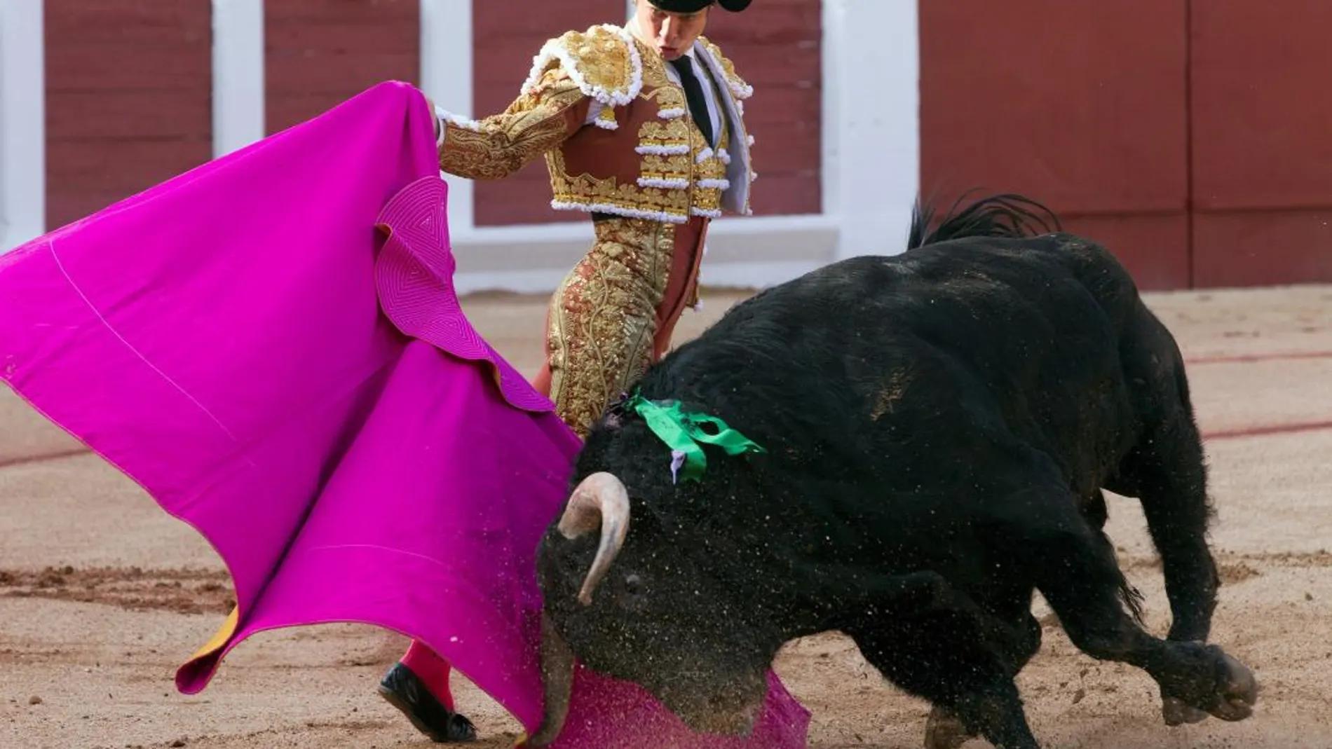 El diestro Julián López 'El Juli' da un pase con el capote a uno de los de su lote, durante el primer festejo de la Feria de San Pedro celebrado esta tarde en la plaza de toros de Zamora / Efe