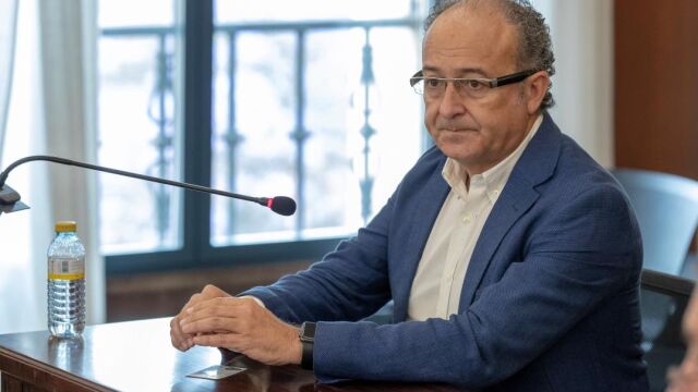 El ex consejero de Innovación Martín Soler (Foto: Efe)