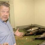 Alberto Chicote pone al descubierto el fraude del atún rojo en ‘¿Te lo vas a comer?’