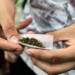 Ingresados en la UCI dos niños de 3 años por ingerir cannabis
