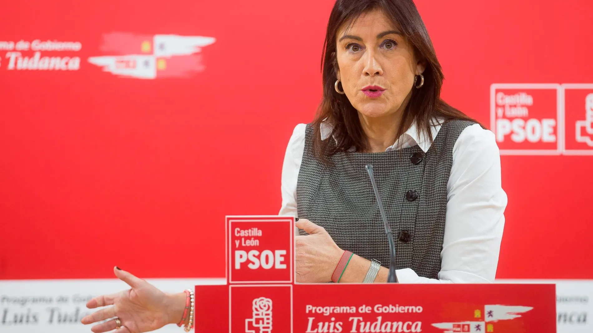 La secretaria de Organización del PSOE de Castilla y León, Ana Sánchez, responde a las preguntas de los periodistas